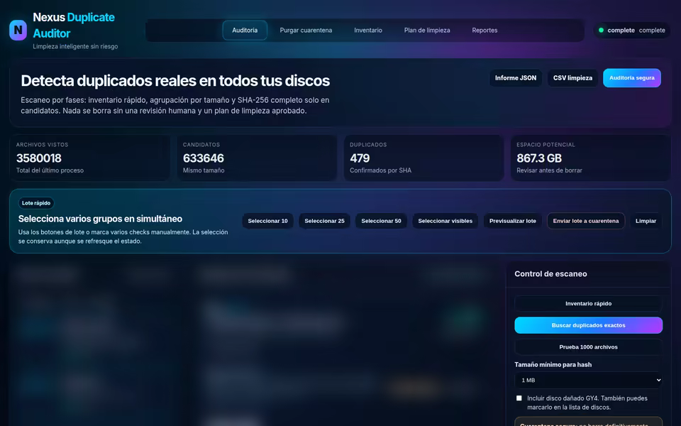 Captura del proyecto Duplicate Auditor